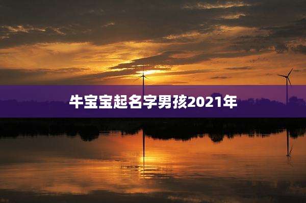 牛宝宝起名字男孩2021年