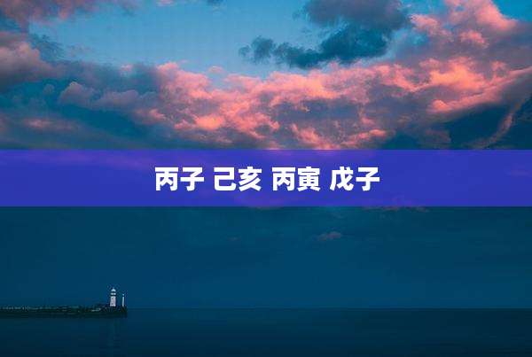 丙子 己亥 丙寅 戊子