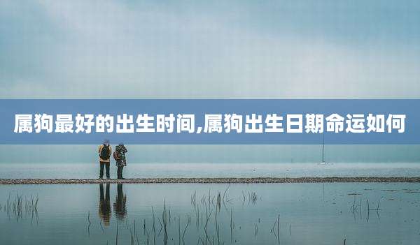 属狗最好的出生时间,属狗出生日期命运如何