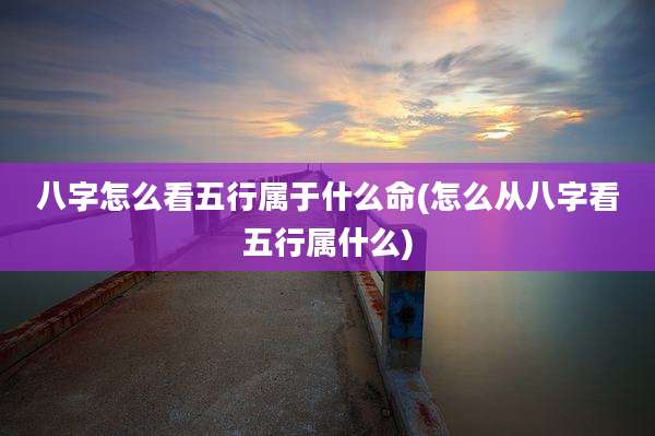 八字怎么看五行属于什么命(怎么从八字看五行属什么)
