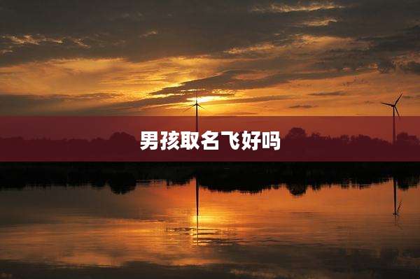 男孩取名飞好吗