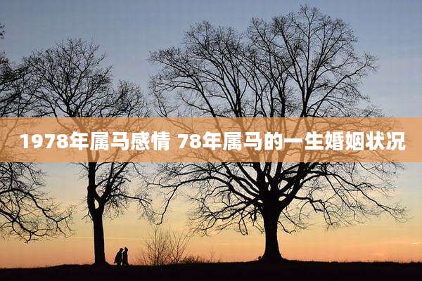 1978年属马感情 78年属马的一生婚姻状况