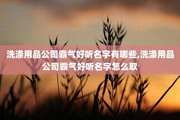 洗涤用品公司霸气好听名字有哪些,洗涤用品公司霸气好听名字怎么取