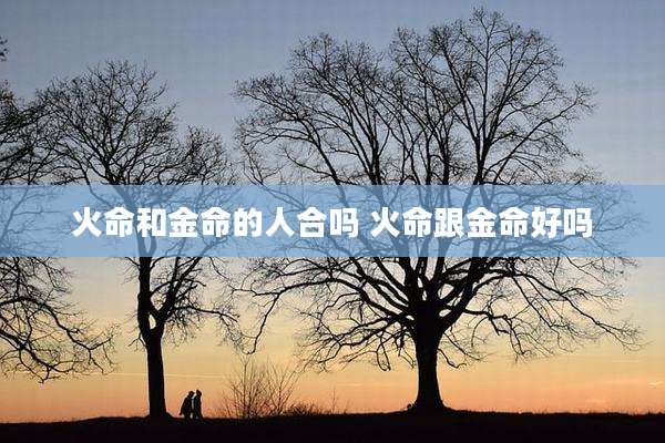 火命和金命的人合吗 火命跟金命好吗