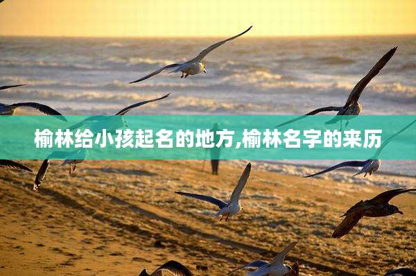 榆林给小孩起名的地方,榆林名字的来历
