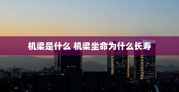 机梁是什么 机梁坐命为什么长寿