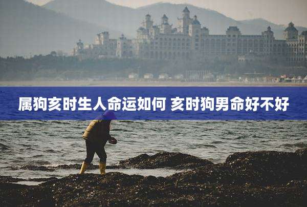 属狗亥时生人命运如何 亥时狗男命好不好
