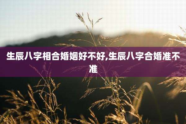 生辰八字相合婚姻好不好,生辰八字合婚准不准