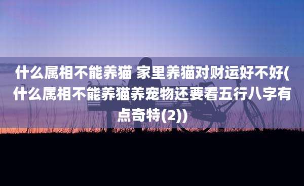 什么属相不能养猫 家里养猫对财运好不好(什么属相不能养猫养宠物还要看五行八字有点奇特(2))