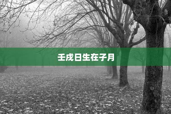 壬戌日生在子月