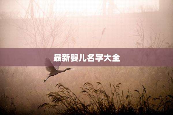 最新婴儿名字大全