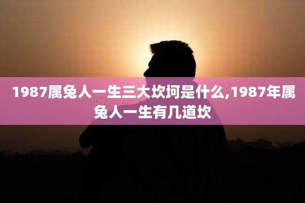 1987属兔人一生三大坎坷是什么,1987年属兔人一生有几道坎