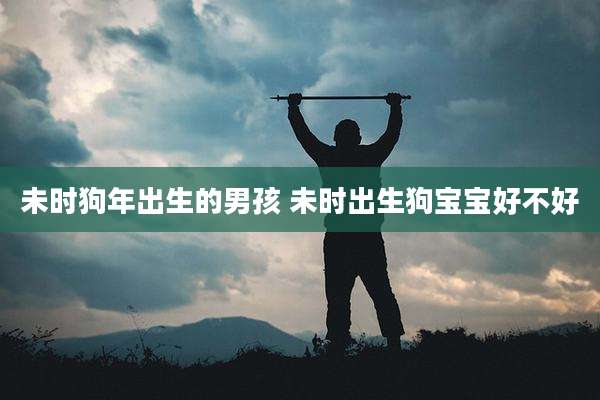 未时狗年出生的男孩 未时出生狗宝宝好不好