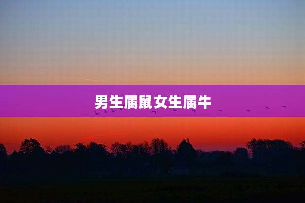 男生属鼠女生属牛