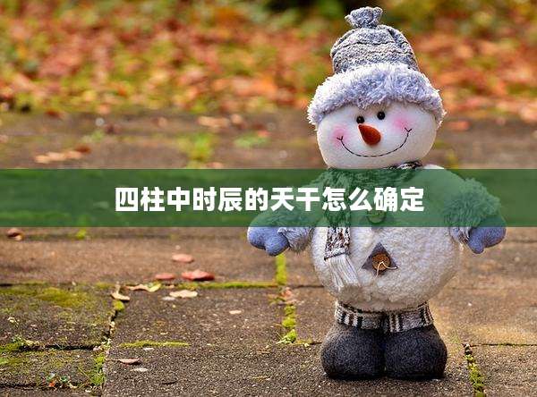 四柱中时辰的天干怎么确定