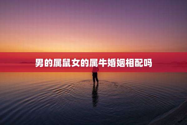 男的属鼠女的属牛婚姻相配吗