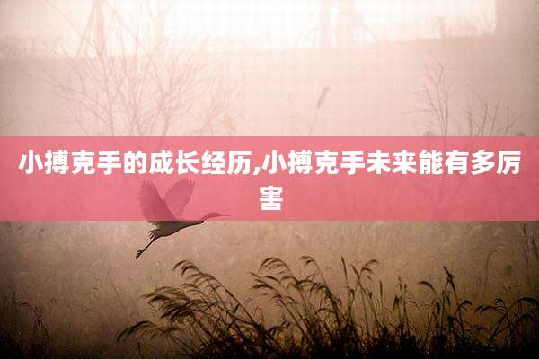 小搏克手的成长经历,小搏克手未来能有多厉害