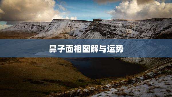 鼻子面相图解与运势