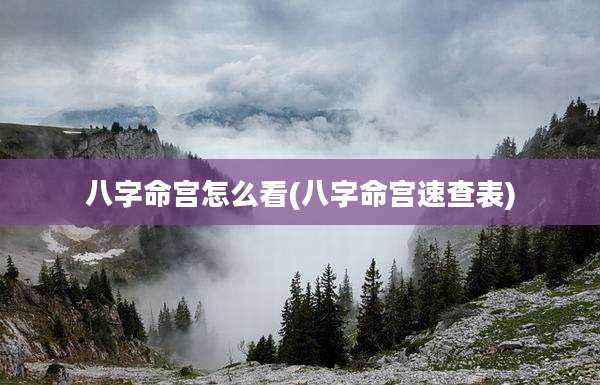 八字命宫怎么看(八字命宫速查表)