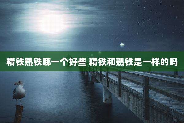 精铁熟铁哪一个好些 精铁和熟铁是一样的吗