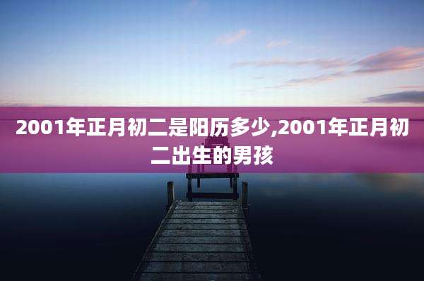 2001年正月初二是阳历多少,2001年正月初二出生的男孩