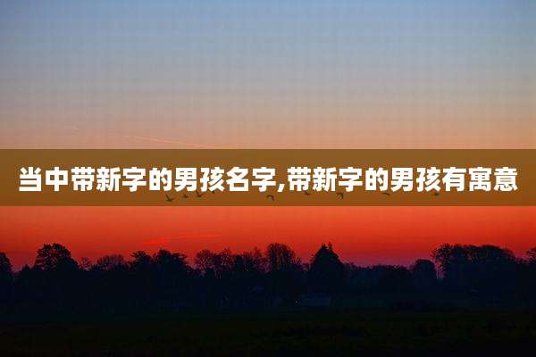 当中带新字的男孩名字,带新字的男孩有寓意