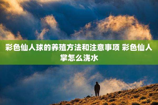 彩色仙人球的养殖方法和注意事项 彩色仙人掌怎么浇水