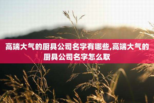 高端大气的厨具公司名字有哪些,高端大气的厨具公司名字怎么取