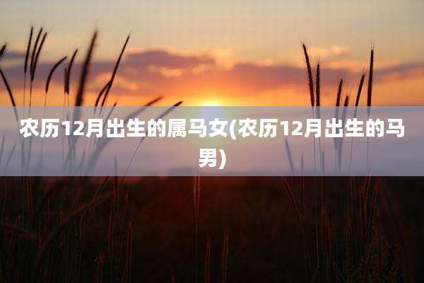 农历12月出生的属马女(农历12月出生的马男)