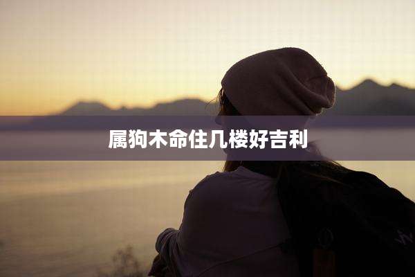 属狗木命住几楼好吉利