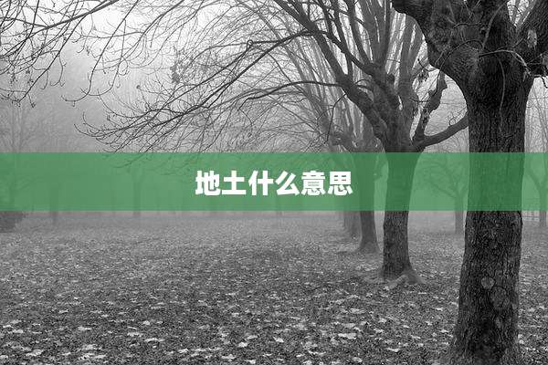 地土什么意思