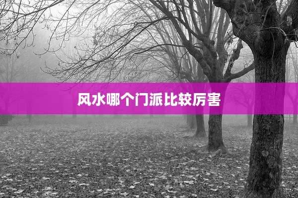风水哪个门派比较厉害