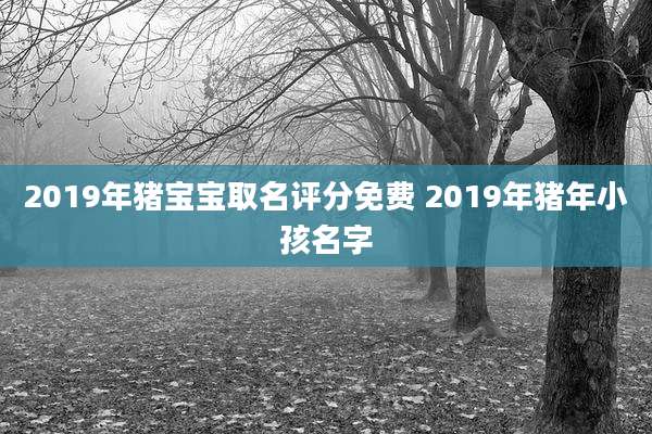 2019年猪宝宝取名评分免费 2019年猪年小孩名字