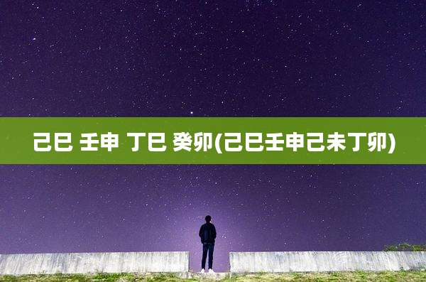 己巳 壬申 丁巳 癸卯(己巳壬申己未丁卯)