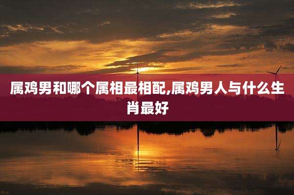 属鸡男和哪个属相最相配,属鸡男人与什么生肖最好