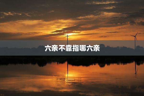 六亲不靠指哪六亲