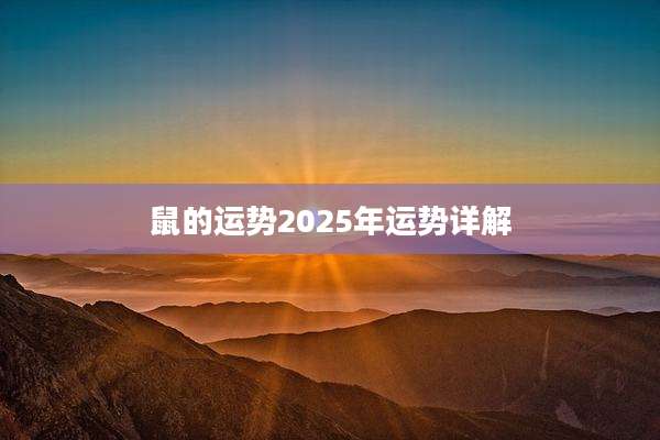 鼠的运势2025年运势详解