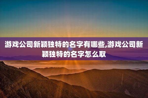 游戏公司新颖独特的名字有哪些,游戏公司新颖独特的名字怎么取
