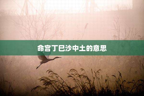 命宫丁巳沙中土的意思