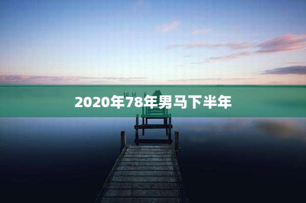 2020年78年男马下半年