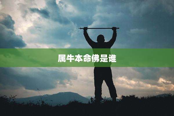 属牛本命佛是谁