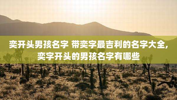奕开头男孩名字 带奕字最吉利的名字大全,奕字开头的男孩名字有哪些
