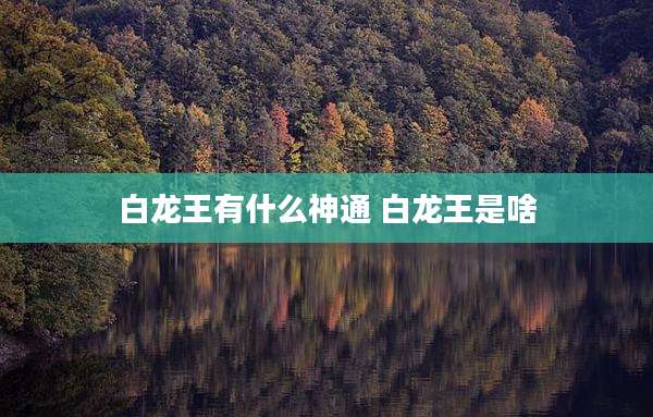 白龙王有什么神通 白龙王是啥