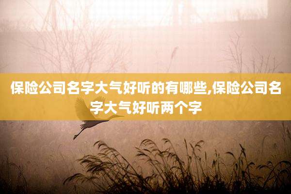 保险公司名字大气好听的有哪些,保险公司名字大气好听两个字
