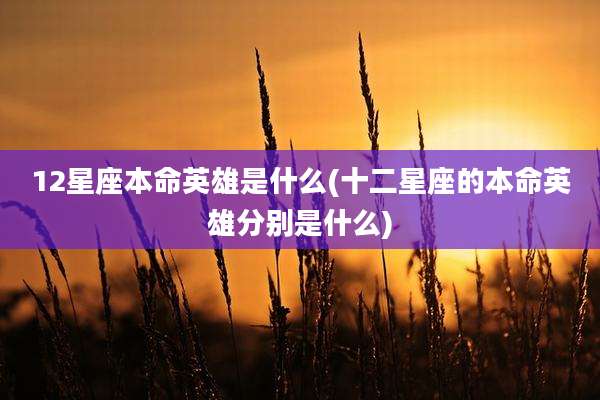 12星座本命英雄是什么(十二星座的本命英雄分别是什么)