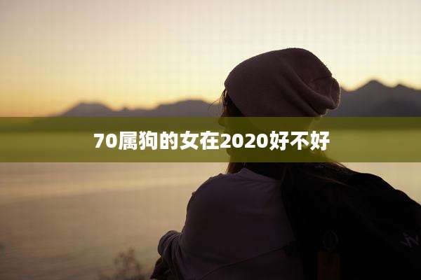 70属狗的女在2020好不好