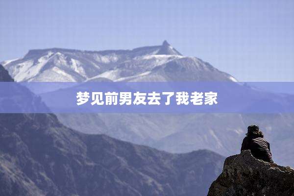 梦见前男友去了我老家