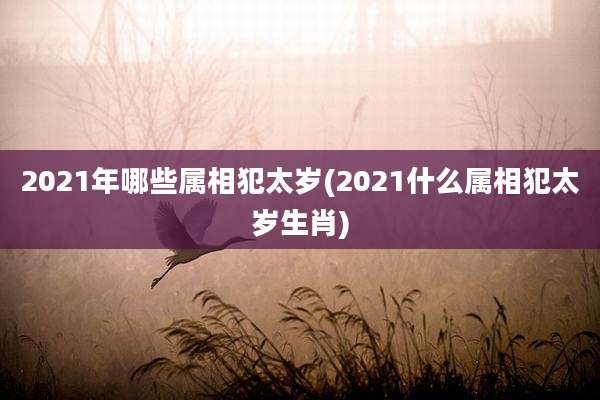 2021年哪些属相犯太岁(2021什么属相犯太岁生肖)