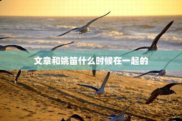 文章和姚笛什么时候在一起的