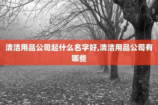 清洁用品公司起什么名字好,清洁用品公司有哪些